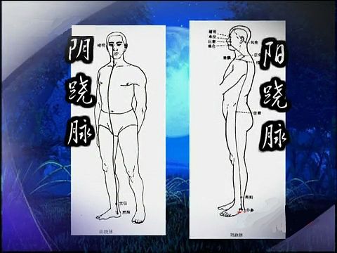 中基中诊试题及答案,中基四本书