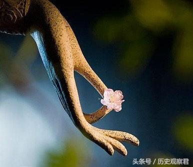 武侠十大最难修炼剑法,九阴真经拈花指