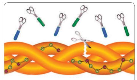 被低估的国产护肤品,被低估的医药品种