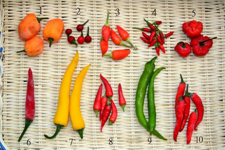 被低估的国产护肤品,被低估的医药品种