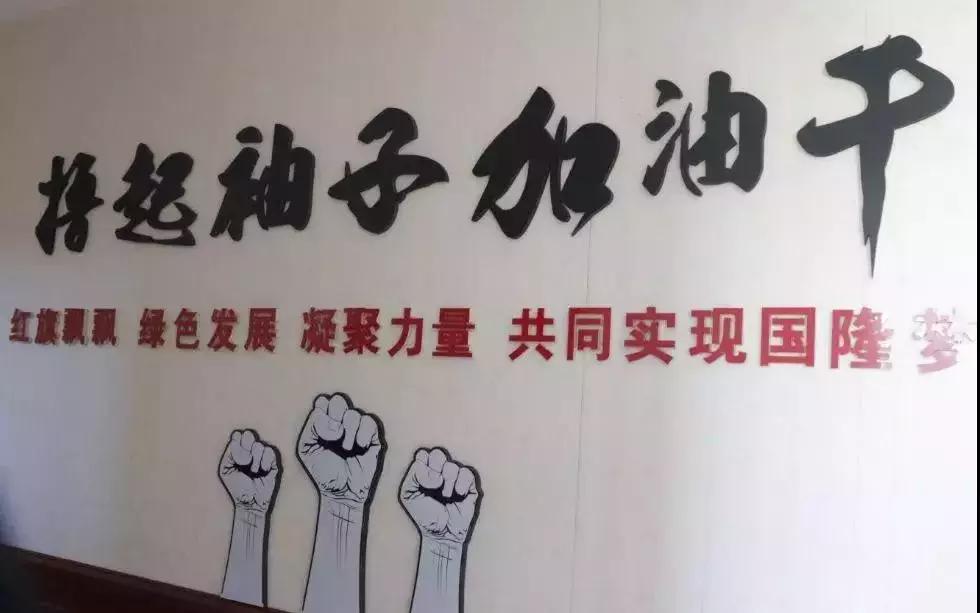 《河南日报》头版报道！国隆科技装配式建筑筑梦“一带一路”