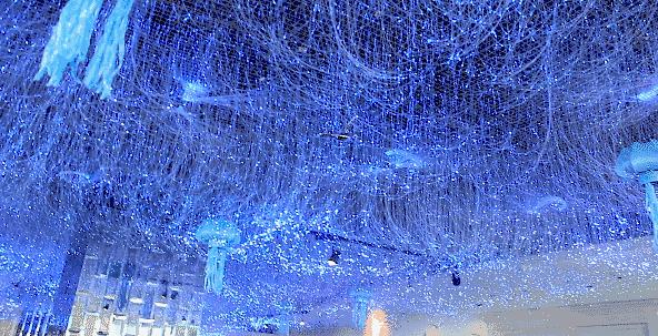 十一月份去三亚怎么最便宜,去三亚380块钱够不够