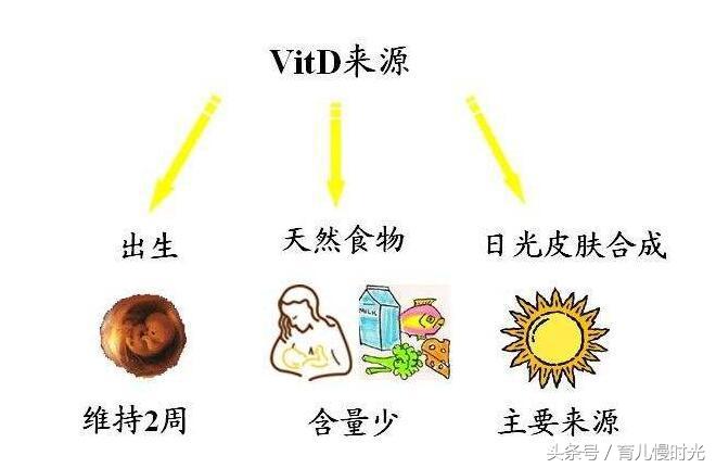 鱼肝油和维生素ad哪个补钙效果好,孩子补钙要鱼肝油还是dha