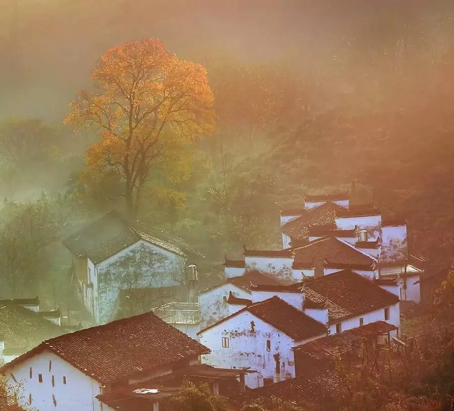 秋天的婺源什么时候去最美,秋天的婺源是色彩的天堂