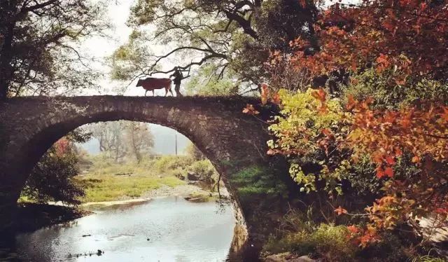 秋天的婺源什么时候去最美,秋天的婺源是色彩的天堂