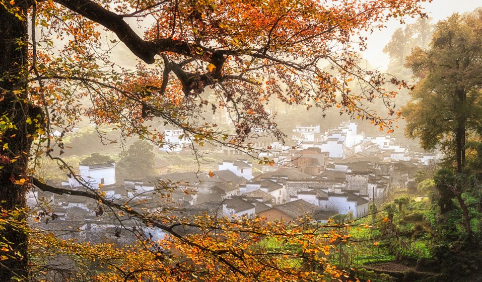 秋天的婺源什么时候去最美,秋天的婺源是色彩的天堂