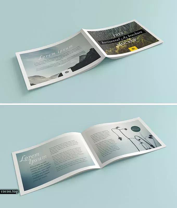 画册设计原理,探究学习项目设计流程