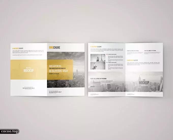 画册设计原理,探究学习项目设计流程