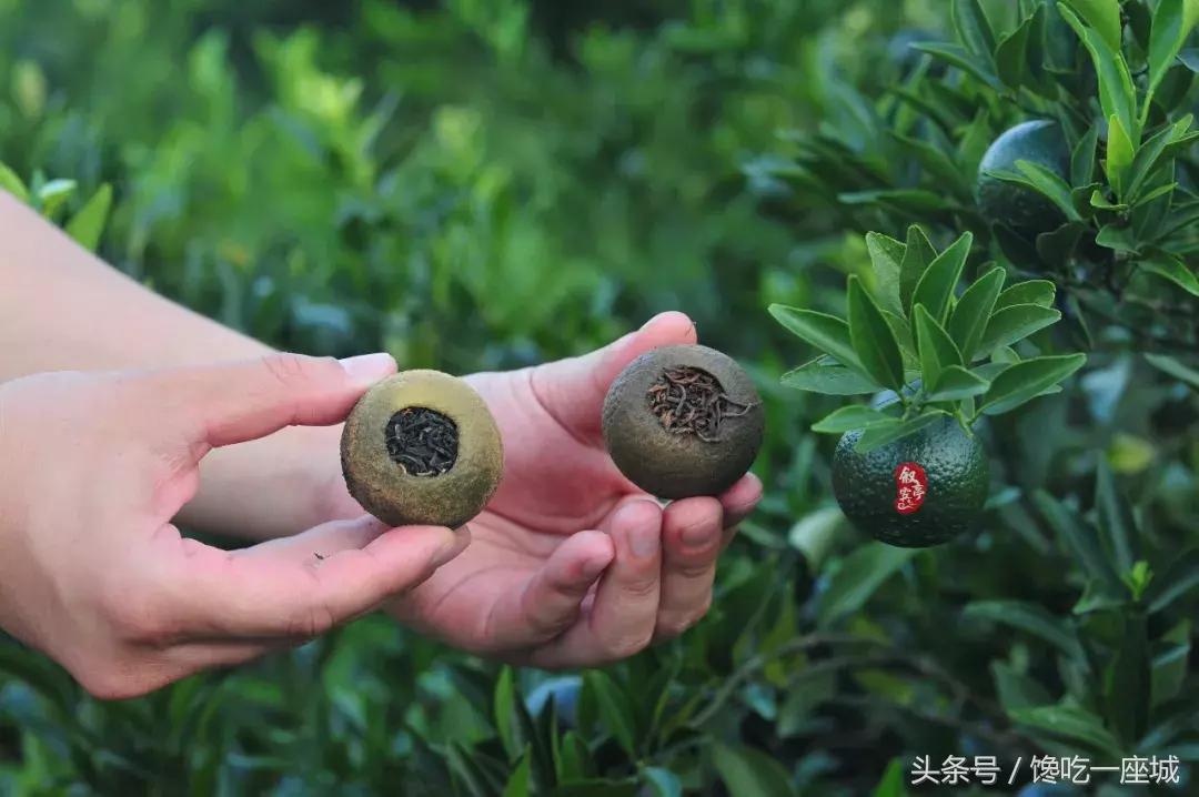2018年“头采”小青柑，两种风味，用料豪放，一泡一颗，过瘾！
