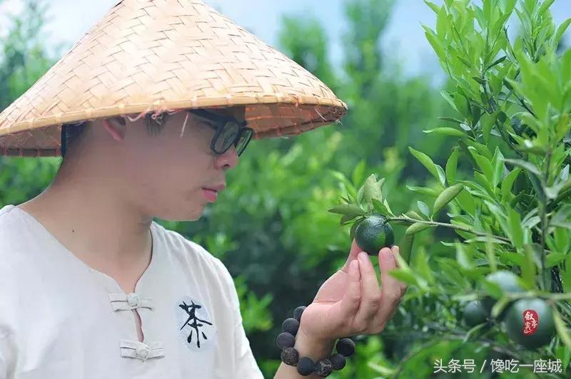 2018年“头采”小青柑，两种风味，用料豪放，一泡一颗，过瘾！