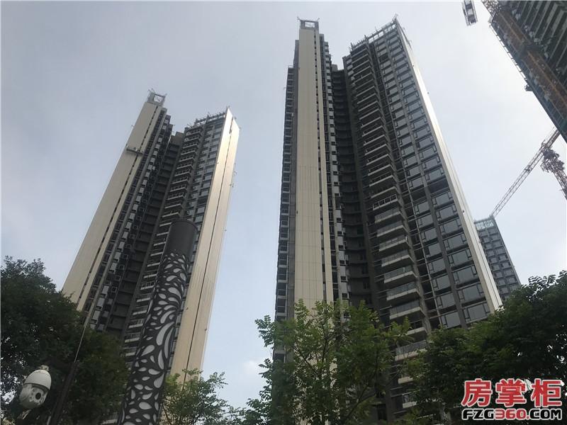 光明凤凰城玖龙台最新房价,光明玖龙台哪个户型好