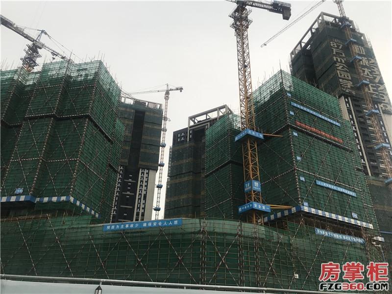 光明凤凰城玖龙台最新房价,光明玖龙台哪个户型好