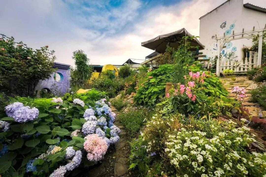 成都一日游免费最佳去处,成都温江十大景点免费