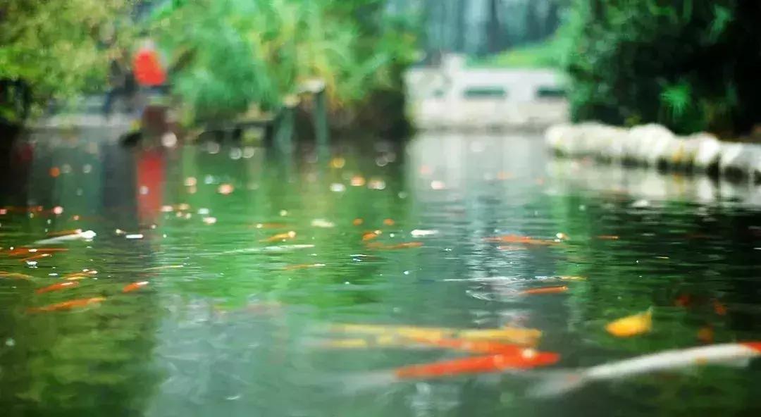 成都一日游免费最佳去处,成都温江十大景点免费