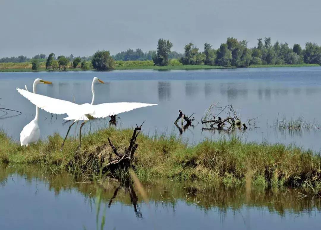 成都一日游免费最佳去处,成都温江十大景点免费