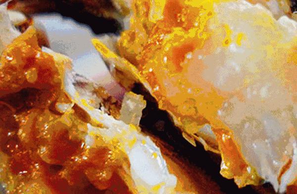 螃蟹的正确煮方法需要放盐吗,螃蟹可以放盐水里煮吗