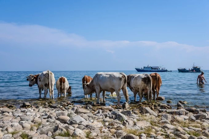 我们异地了24年,在你88岁时去莫斯科娶你——今夕传媒旅行家出品
