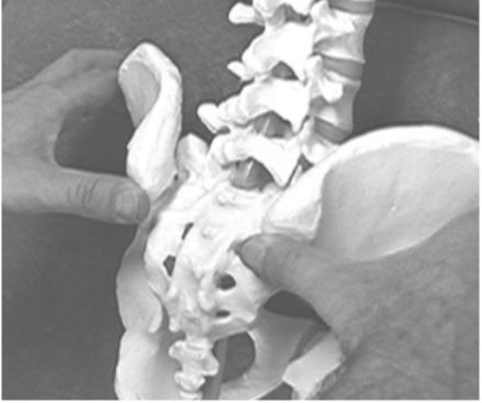 脊柱侧弯怎么健身练背,脊柱侧弯背部左高右低怎么纠正