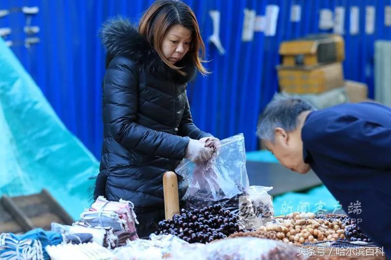 李克勤万妮达马凡舒都说哈尔滨冷，想穿羽绒服，未来几天天气是……