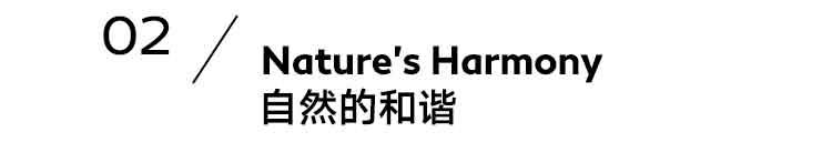 库客|我这家“百年老店”能满足你对日本所有的幻想