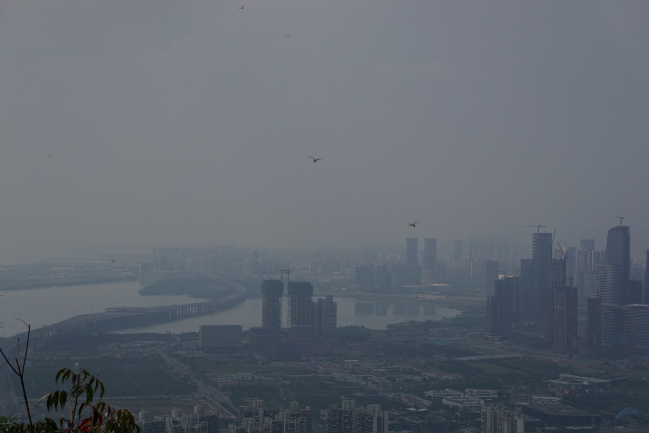 深圳南山周末玩乐推荐,深圳南山中山公园一日游攻略