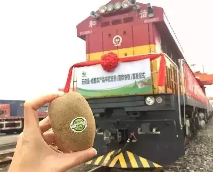 青白江水果西梅,青白江应季水果