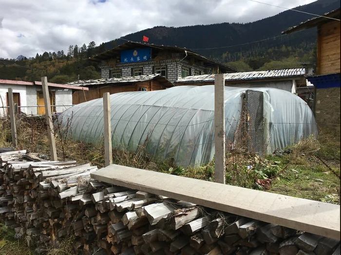 富人吃菜，穷人吃肉？究竟哪一种才是*藏西**人的真实生活