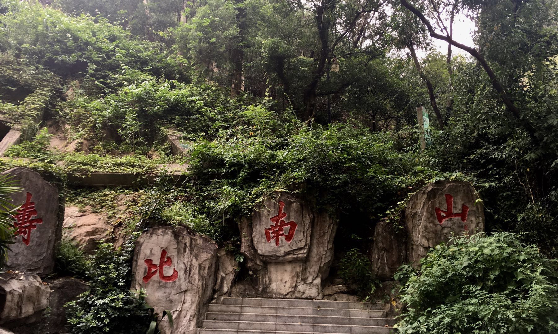 深圳南山周末玩乐推荐,深圳南山中山公园一日游攻略