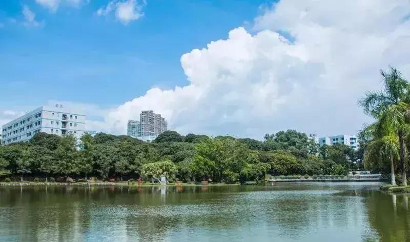 为什么深职院这么出名,深职院为什么全国第一