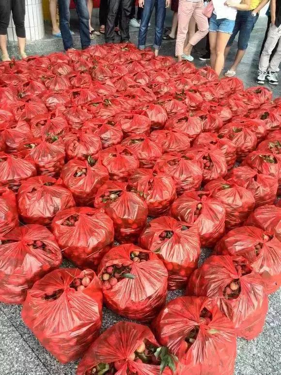 为什么深职院这么出名,深职院为什么全国第一