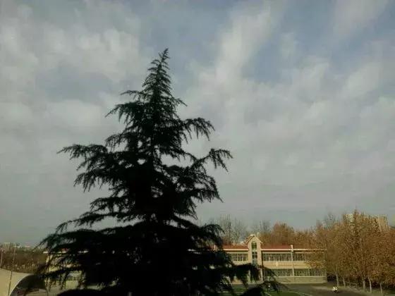 西安市总共有多少个中学,西安最古老的学校