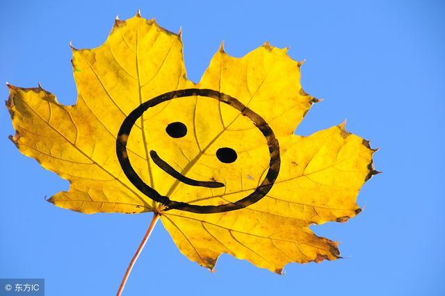 最美的风景留下最难忘的记忆,看最美的风景留下美好的回忆