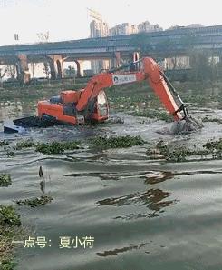 遇到强迫症的女生该怎么办,强迫症女朋友该怎么办