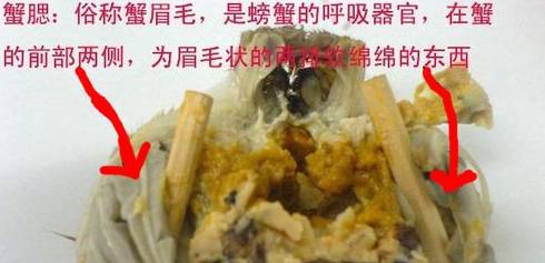 「健康」你真的会吃螃蟹?这四个部位万万不能吃!