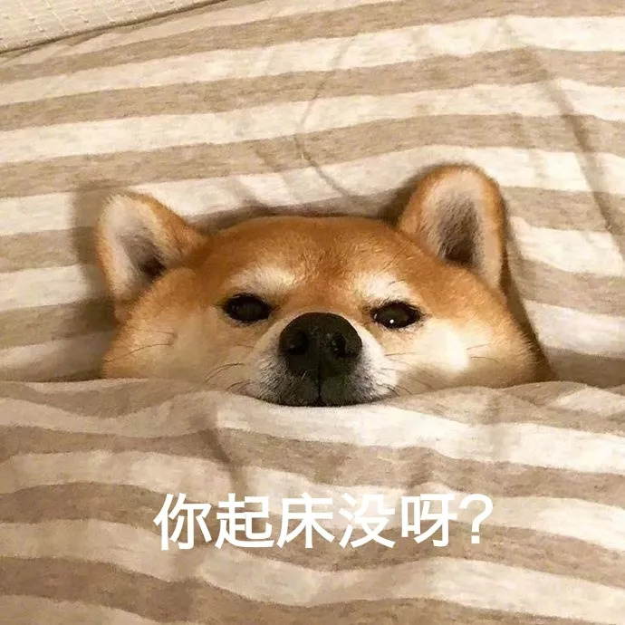 每日真题500道,每日任务真题必考词语