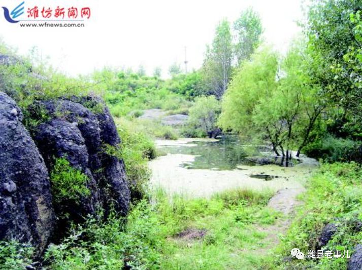 潍县有泉无？且看《寻泉记》！