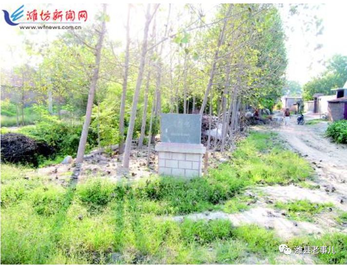 潍县有泉无？且看《寻泉记》！