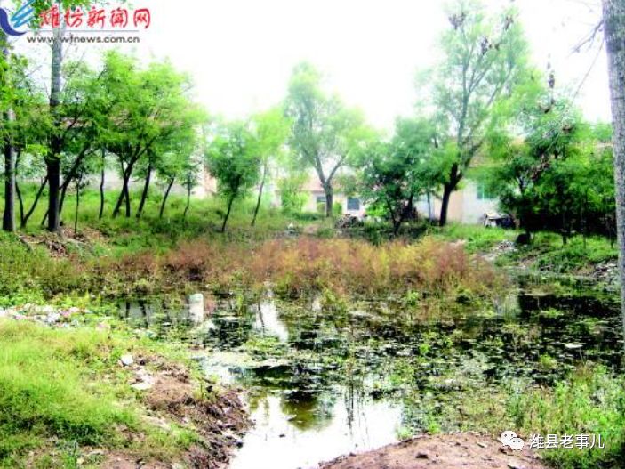 潍县有泉无？且看《寻泉记》！