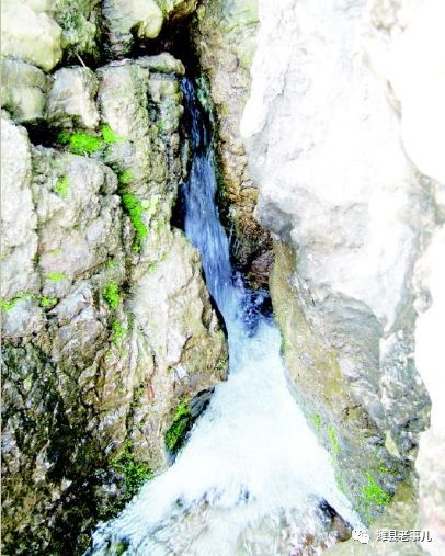 潍县有泉无？且看《寻泉记》！