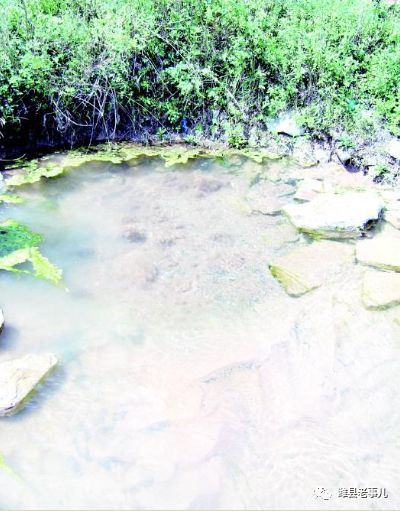 潍县有泉无？且看《寻泉记》！