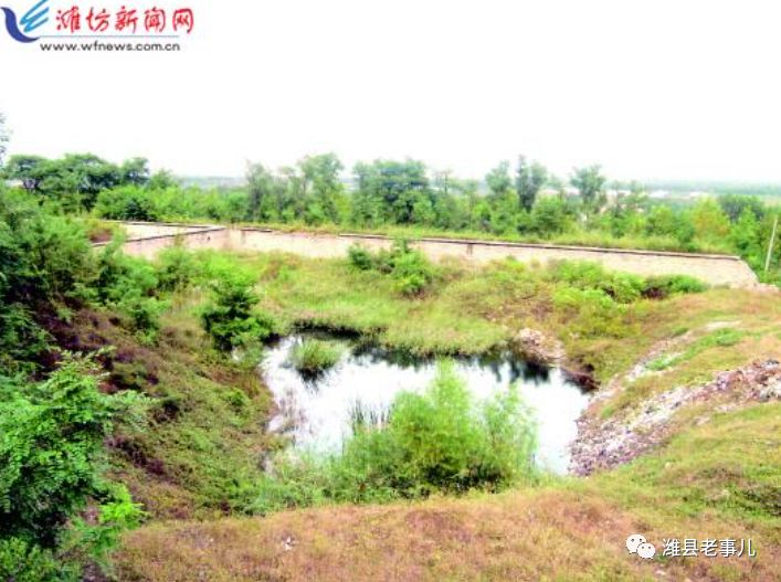 潍县有泉无？且看《寻泉记》！