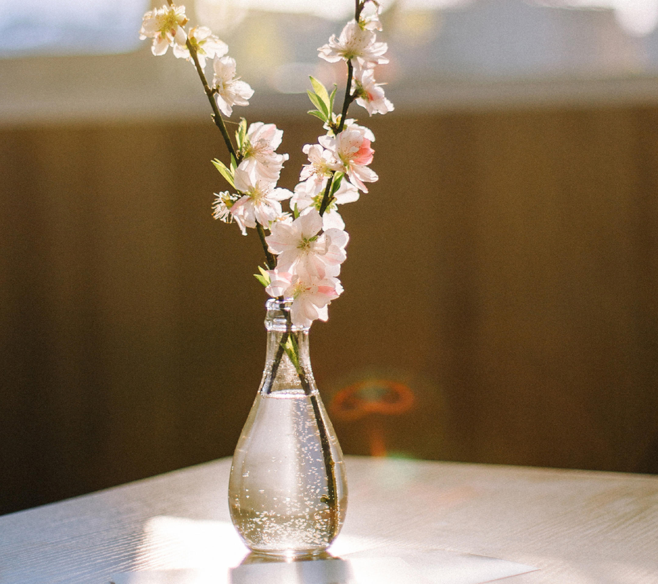 许三观卖血记吃的东西,许三观卖血记卖完血要吃什么