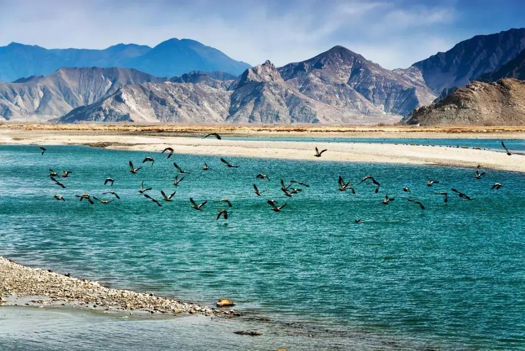 西藏带什么纪念品比较好便宜,西藏必买的纪念品