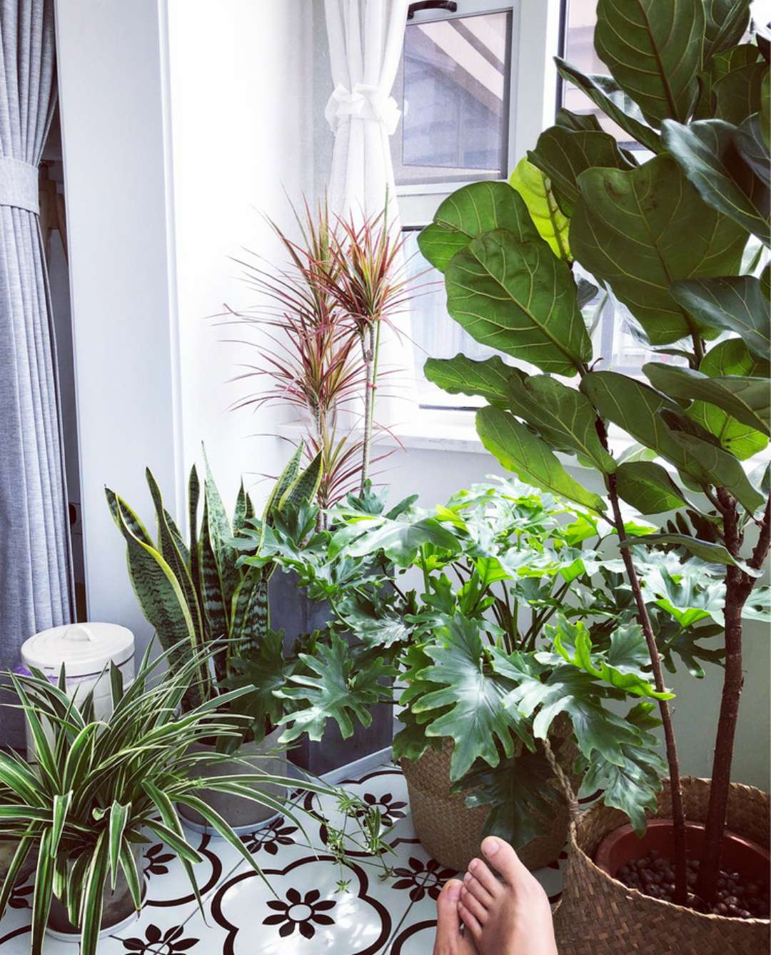 旅行达人宅家日常,90后旅行达人