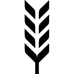 芜湖盆底康复治疗,花溪区盆底肌康复有必要吗