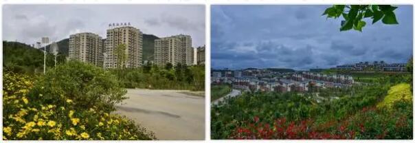 曾经的海东你还记得吗？“灭荒”进行时，现在的海东怎么样了？