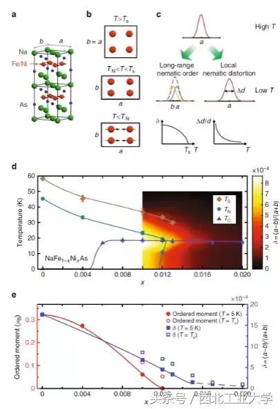 nature子刊副教授,nature子刊脑科学