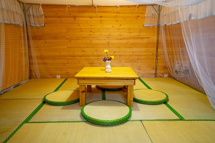 探寻自然与历史的魅力,走进大自然了解历史人文