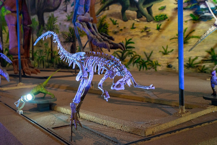 探寻自然与历史的魅力,走进大自然了解历史人文