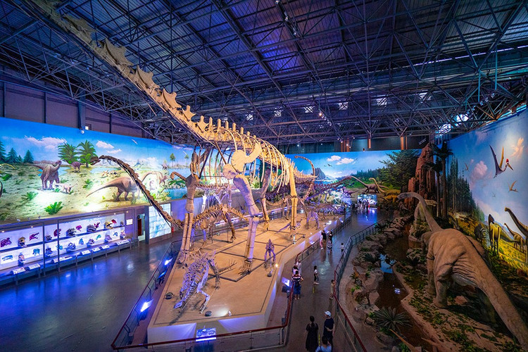 探寻自然与历史的魅力,走进大自然了解历史人文